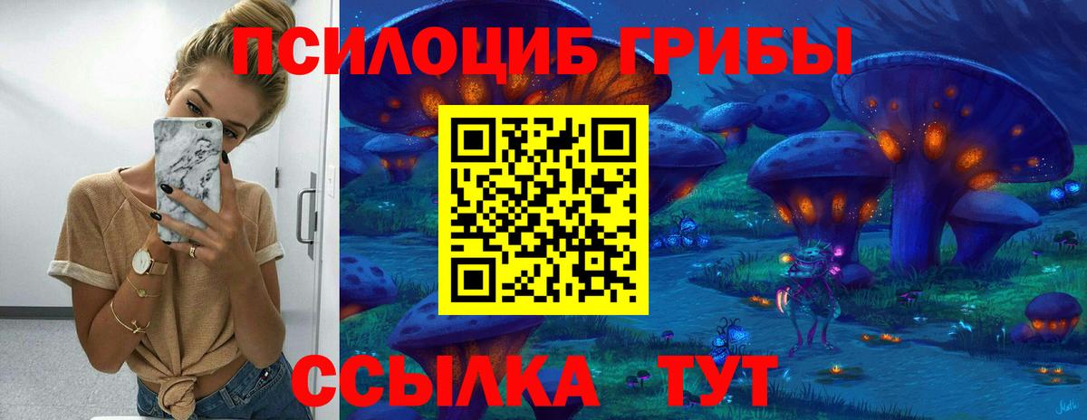 Галлюциногенные грибы Magic Shrooms  Галлюциногенные грибы GOLDEN TEACHER  Дедовск  цена наркотик  Вход с VPN 